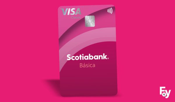 Scotia Básica