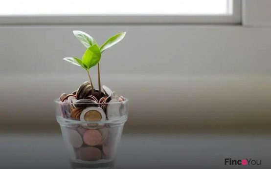 Household Budgeting: Balancing Income and Expenses Wisely